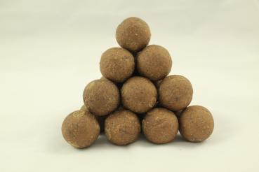 Fifty Fish Boilie1 kg (Grundpreis 5,95 Euro) siehe Staffelpreise